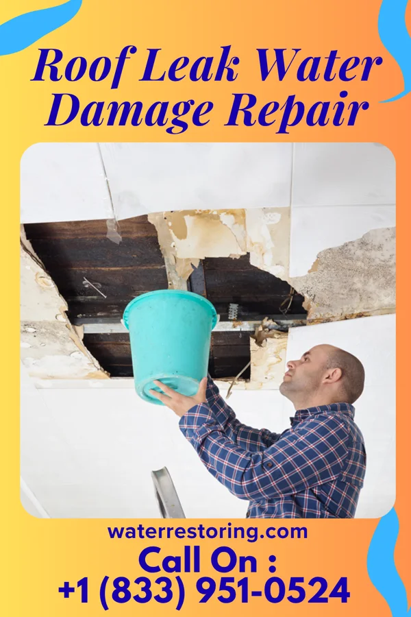 Roof Leak Water Damage Repair in Galesburg, MI