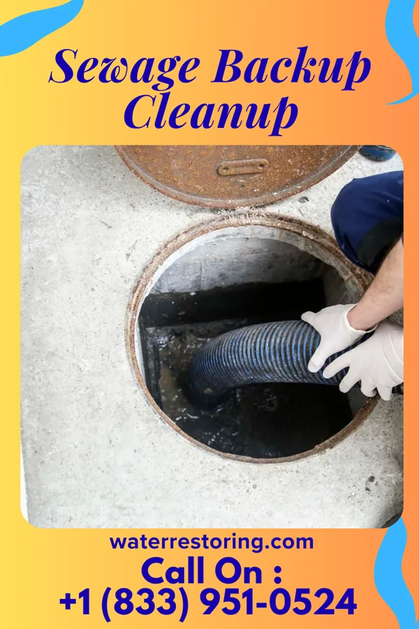 Sewage Backup Cleanup in Galesburg, MI
