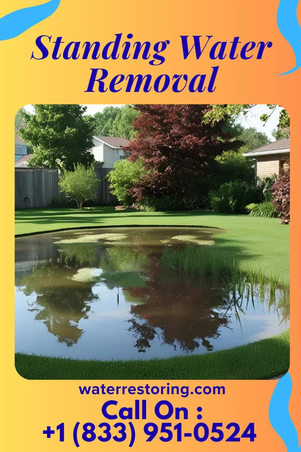 Standing Water Removal in Galesburg, MI